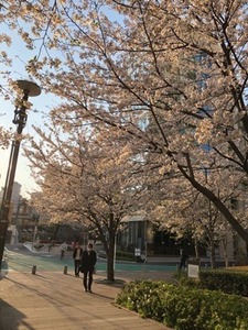 AC245497-878D-420E-BF58-E4B073965B20.jpeg