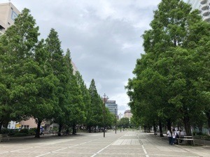 AEFF88E7-FACC-436C-9268-E57C2667F07D.jpeg