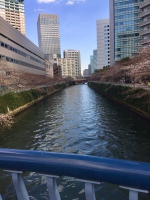 AF639D8C-9E61-4B6C-B10D-026D01DEE968.jpeg