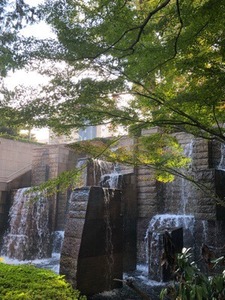 AF6D7350-F821-4DE7-B76D-369F456AB9A1.jpeg