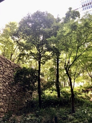 B303CF38-22FE-44DB-88DD-50A92657F1AD.jpeg