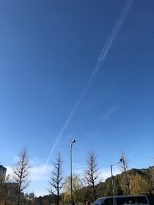 B384CC04-3841-4DEE-A706-89ED5478F94E.jpeg