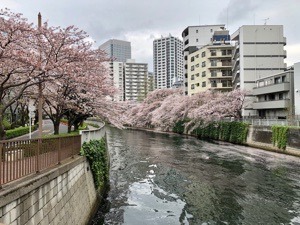 B499D38B-1DE9-4D2F-9ADA-18D636CA1509.jpeg