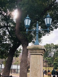 B604F77E-BA23-4196-8CB3-75A49E23CB69.jpeg