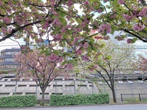B6BC2AB9-409A-44D5-A8E4-7C608136D23D.jpeg