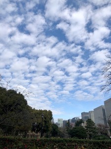 B88CCE3B-2E8B-4391-B1E1-63EB042D7A59.jpeg