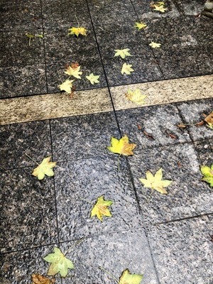 B9D9E5B3-A7B0-4094-B4F8-8E79B351B2B5.jpeg