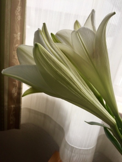 BAEEA16C-C41D-4018-B1DF-219A0463FE26.jpeg