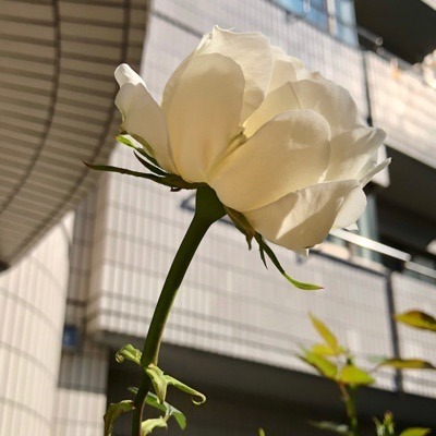 BD754310-C184-4583-968E-10B0C828AA24.jpeg