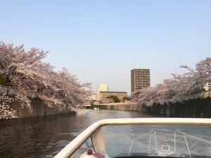 C1904F86-F376-48A0-89AA-52651256A2D7.jpeg