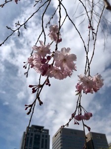C23E9E65-6D62-45D0-9287-4F6DE4495E17.jpeg