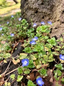 C3EC7364-EC08-4549-A863-ED036252B509.jpeg