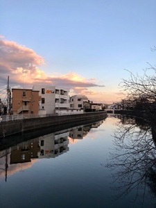C5608C22-EF65-4A1B-AC10-D00B20746ACD.jpeg