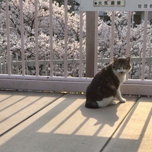 C5D3F52E-16FB-4FAC-83AC-D5787B8B19DD.jpeg