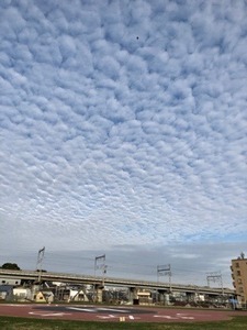 C691BBF4-FC93-4935-AD2C-D5A5607BAA26.jpeg