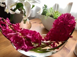 C769AFEF-F60E-49D7-9422-0E195A6DB364.jpeg