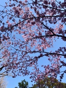 CA895005-C9A6-40FB-B5DE-03E891D3E8EF.jpeg