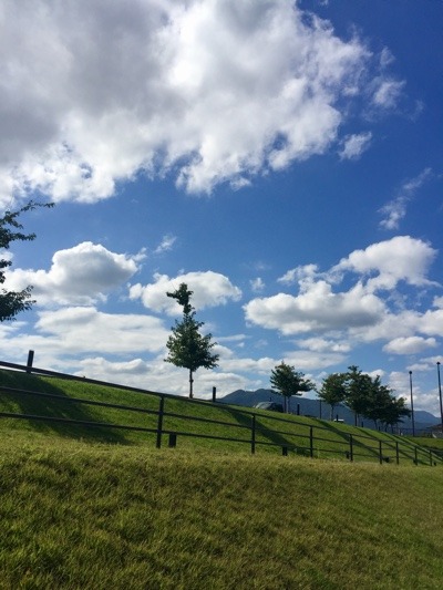 CAB20CB2-295A-4DF7-AB3B-379F1AE090E0.jpeg