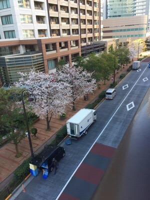 CBC1280A-7C96-41F5-9F22-4A878857287E.jpeg