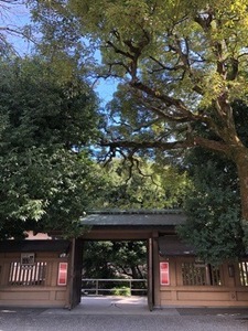 CCE41B4F-5E06-4768-BAAE-EBCDBDD456F9.jpeg