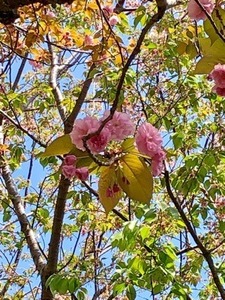 D051724A-0278-4E9C-A177-834033B31039.jpeg