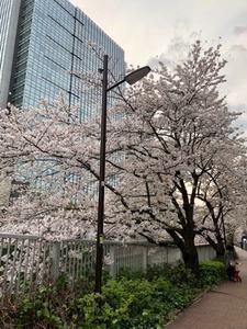 D07617AC-C38E-4E55-A218-C394A8BFC4D5.jpeg