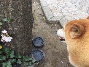 D39D80C0-75E4-43A2-A974-97B9A78597D0.jpeg