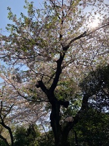 D4A9A9F6-C943-4AEA-8C02-17B62953A5E7.jpeg