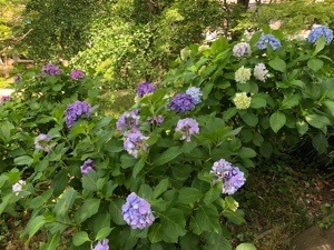 D4B46E19-BE5B-45BC-A669-A0EEFF10AC16.jpeg