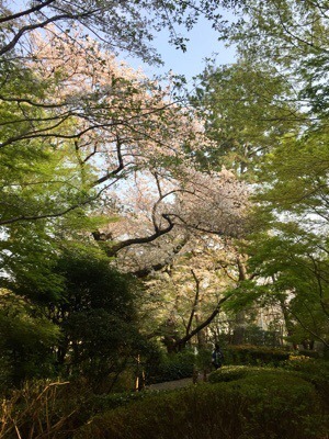 D596779B-B9AB-48BF-A4E9-0637DF4C8727.jpeg