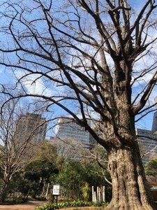 D5F1623E-FE1B-475E-B925-4948AE6F03B1.jpeg