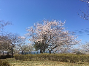 D6C63B06-FCBF-428F-A42B-96741206CDEC.jpeg