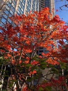 D7BBF904-97B4-46FD-B1A3-1406B9ABB4D2.jpeg