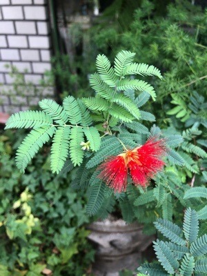 D7EC332C-0E51-4214-8237-48E29DD6313B.jpeg