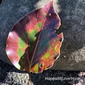 DE9DC8FF-2657-4683-B5A6-86C3A51988F0.jpeg