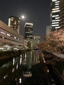 E04D890F-D208-4081-9A32-5E924B686318.jpeg