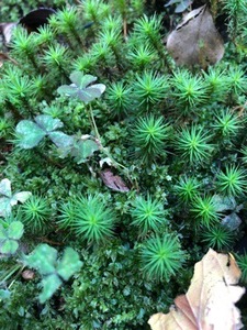 E1520312-37CB-428C-9BD6-DAC41380740A.jpeg