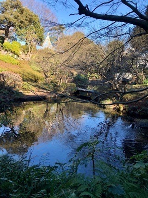 E20F5153-B03A-402E-8CF6-9749E6D465E2.jpeg