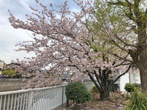 E63862BD-C78B-479F-B25E-CE4AECA25BC0.jpeg