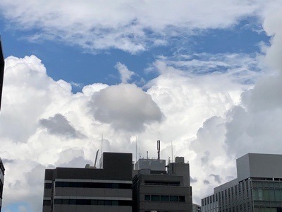 E7172A9C-73E3-4773-8CAC-761D5E085630.jpeg