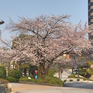 EC96A95C-E7AD-40A1-A4E5-F6B554618337.jpeg