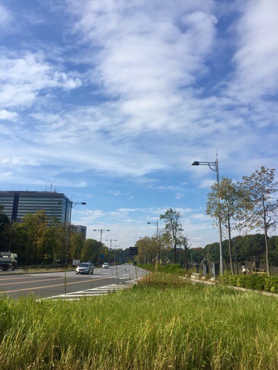 ED0E0003-29D7-48CF-9A5B-FE79888ADD02.jpeg