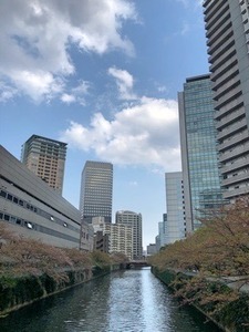 F350F0A8-2623-4137-B07D-0B2C14CFA3B7.jpeg