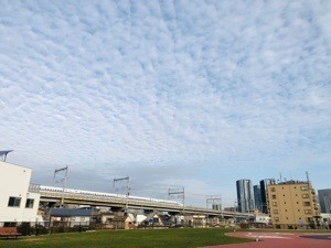 F3B2AA66-0B4F-438A-B960-BDE9E5B46C08.jpeg