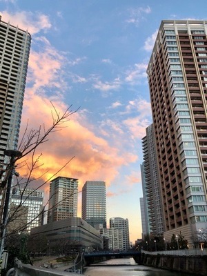 FAAF1919-1A96-414C-9590-224C0D6D9ED9.jpeg