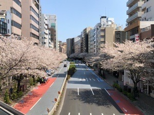 FB1672DF-2E9B-400C-AE3A-1E06A2AFEE1B.jpeg
