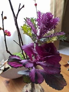 FB50BF55-D91C-496D-B61C-5A8ACF22EB2D.jpeg