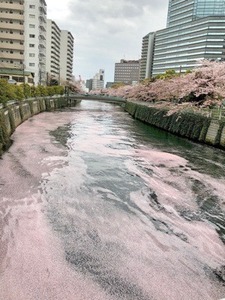 FC72D609-0888-4D2A-8012-1FDC19C97E5E.jpeg