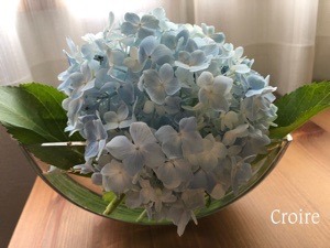 FD0278A9-66DD-479E-8C7F-0A68EBF66929.jpeg