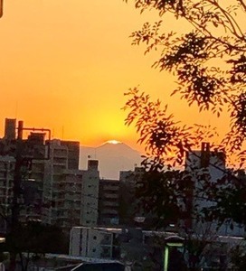 FE11167C-F6DA-4AE7-98B8-3E80B2AD10D3.jpeg